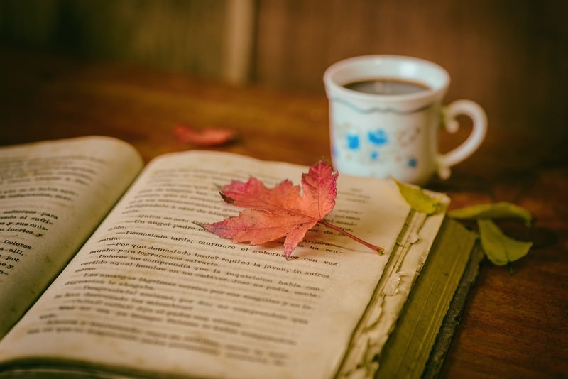 Open book
